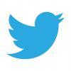 Twitter logo vector download